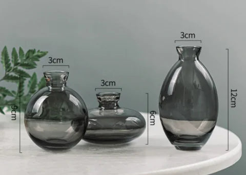 Elegant Glass Vases